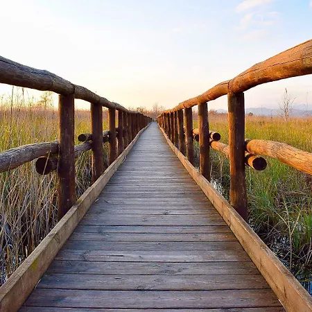 Stella D'italia 3* Viareggio